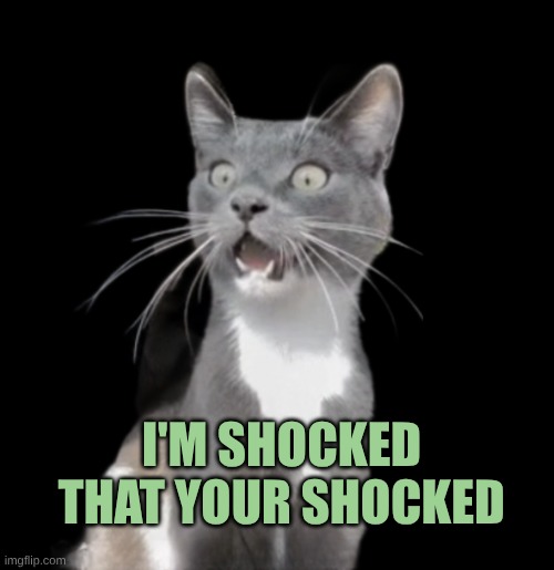 Speechless Cat | I'M SHOCKED THAT YOUR SHOCKED | image tagged in speechless cat,shocked,shocked cat,where banana,can't unsee,blind | made w/ Imgflip meme maker