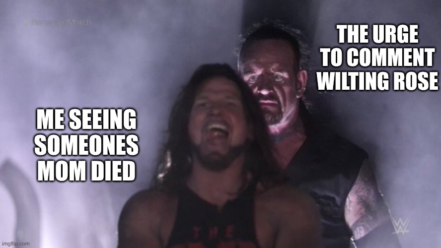 AJ Styles & Undertaker | THE URGE TO COMMENT WILTING ROSE; ME SEEING SOMEONES MOM DIED | image tagged in aj styles undertaker | made w/ Imgflip meme maker