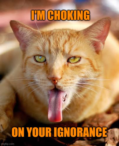cat tongue | I'M CHOKING; ON YOUR IGNORANCE | image tagged in cat tongue,choking,ignorance,amazing,the amazing digital circus,cat | made w/ Imgflip meme maker
