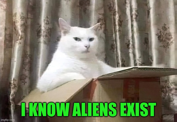 Cat or Lizzie? | I KNOW ALIENS EXIST | image tagged in cat in a box,aliens,human stupidity,sometimes my genius is it's almost frightening,shapeshifting lizard | made w/ Imgflip meme maker