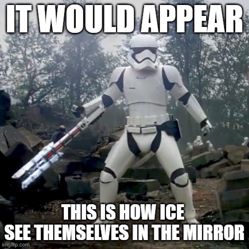 Ice Troopers | IT WOULD APPEAR; THIS IS HOW ICE 
SEE THEMSELVES IN THE MIRROR | image tagged in baton trooper | made w/ Imgflip meme maker