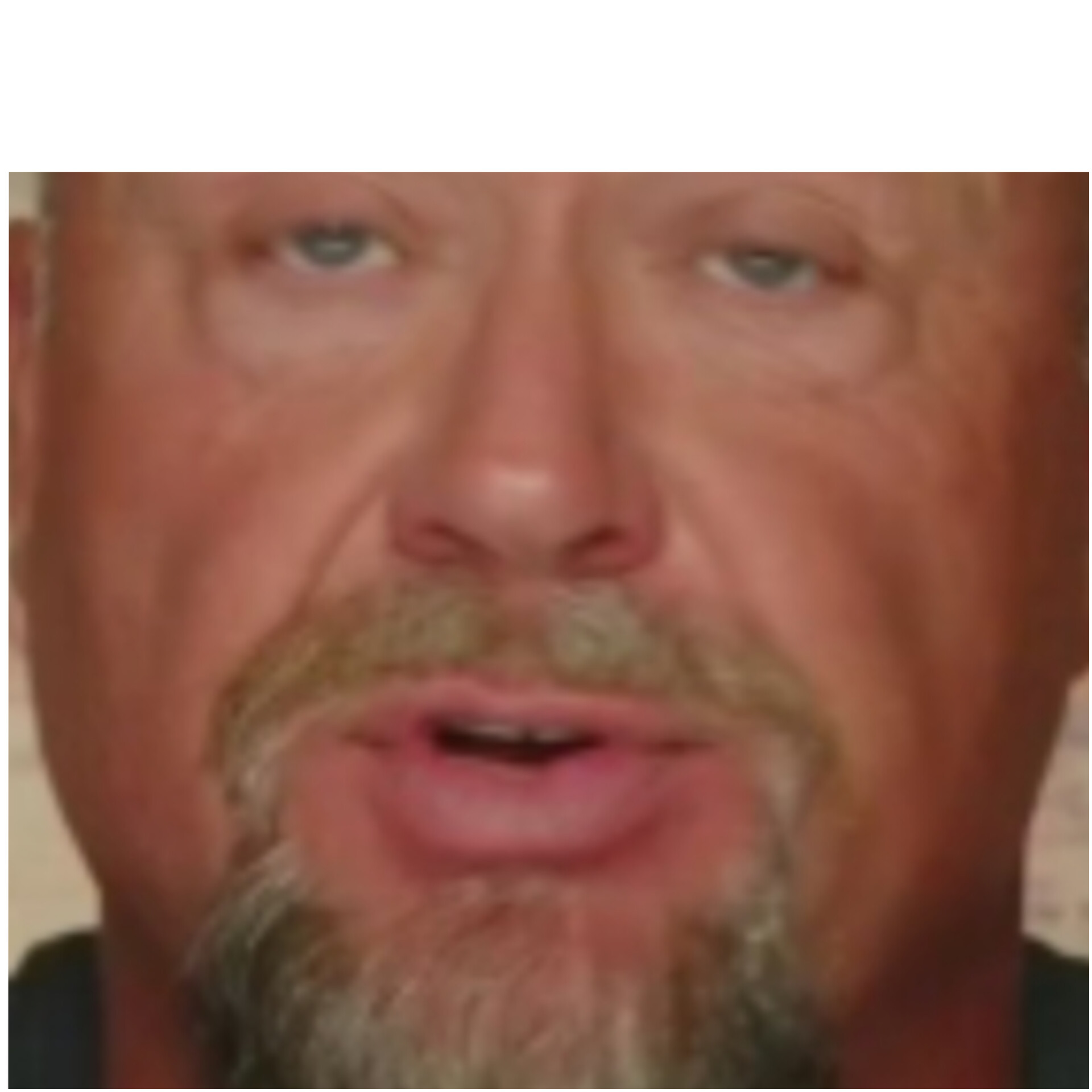 Gay Frogs Blank Meme Template