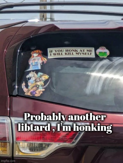 Probably another libtard , I'm honking | made w/ Imgflip meme maker