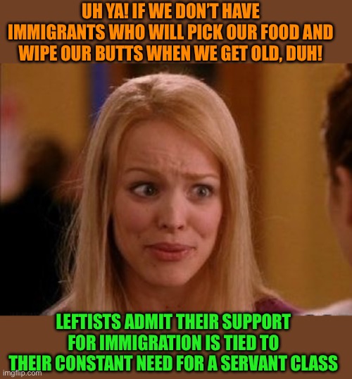 It’s never been the same since the left lost their slaves | UH YA! IF WE DON’T HAVE IMMIGRANTS WHO WILL PICK OUR FOOD AND WIPE OUR BUTTS WHEN WE GET OLD, DUH! LEFTISTS ADMIT THEIR SUPPORT FOR IMMIGRATION IS TIED TO THEIR CONSTANT NEED FOR A SERVANT CLASS | image tagged in why are you so obsessed with me,servants,we need servants,call hector my butt needs wiping | made w/ Imgflip meme maker