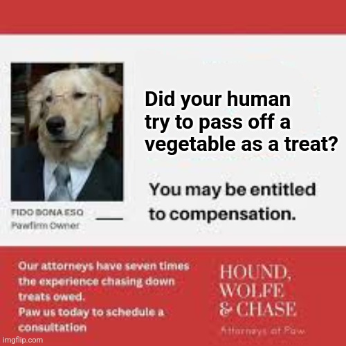 Did your human try to pass off a vegetable as a treat? | made w/ Imgflip meme maker