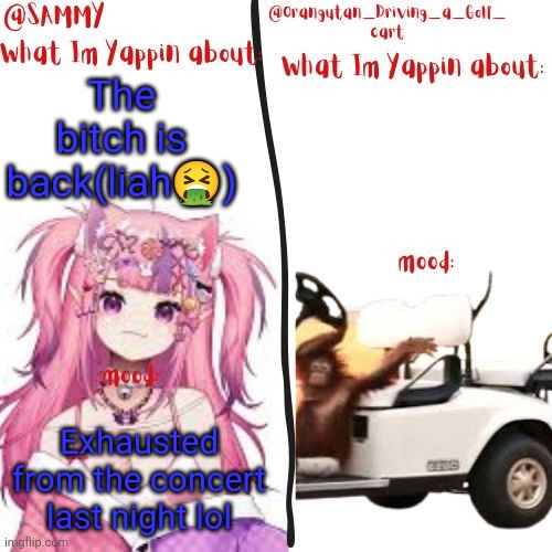 orangutan and Sammy's shared temp | The bitch is back(liah🤮); Exhausted from the concert last night lol | image tagged in orangutan and sammy's shared temp | made w/ Imgflip meme maker