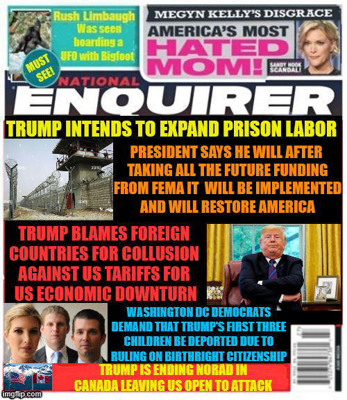 National Enquirer Trump prison plans | TRUMP INTENDS TO EXPAND PRISON LABOR; PRESIDENT SAYS HE WILL AFTER
 TAKING ALL THE FUTURE FUNDING
 FROM FEMA IT  WILL BE IMPLEMENTED
 AND WILL RESTORE AMERICA; TRUMP BLAMES FOREIGN COUNTRIES FOR COLLUSION AGAINST US TARIFFS FOR
 US ECONOMIC DOWNTURN; WASHINGTON DC DEMOCRATS DEMAND THAT TRUMP'S FIRST THREE CHILDREN BE DEPORTED DUE TO RULING ON BIRTHRIGHT CITIZENSHIP; TRUMP IS ENDING NORAD IN CANADA LEAVING US OPEN TO ATTACK | image tagged in national enquirer trump prison plans,prison labor is boon for business,trump's tariffs hurting economy,birthright citizenship | made w/ Imgflip meme maker