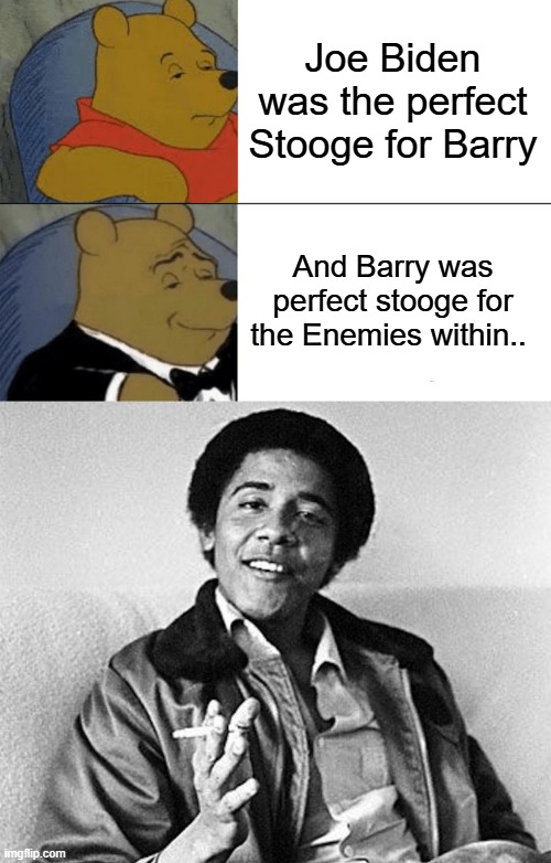 Bill Ayers worked on him for decades, Ayers became a operative after his arrest. Is my guess | Joe Biden was the perfect Stooge for Barry; And Barry was perfect stooge for the Enemies within.. | image tagged in memes,tuxedo winnie the pooh | made w/ Imgflip meme maker