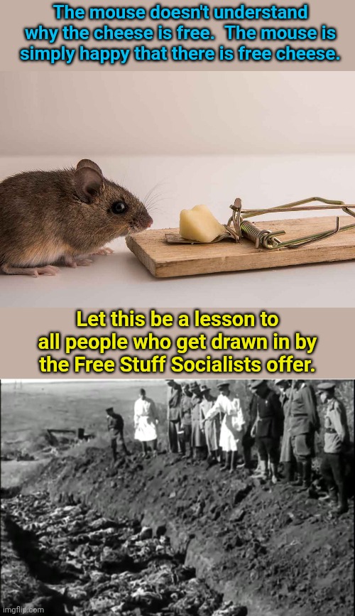 The mouse doesn't understand why the cheese is free.  The mouse is simply happy that there is free cheese. Let this be a lesson to all people who get drawn in by the Free Stuff Socialists offer. | image tagged in mouse trap,socialist genocide | made w/ Imgflip meme maker