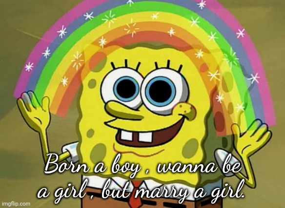 Gender blurr | Born a boy , wanna be a girl , but marry a girl. | image tagged in memes,imagination spongebob | made w/ Imgflip meme maker