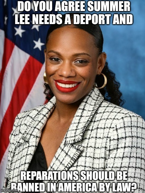 Summer lee needs a deport | image tagged in summer lee needs a deport | made w/ Imgflip meme maker