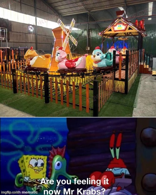 are you feeling it now mr krabs | image tagged in mr krabs,roller coaster | made w/ Imgflip meme maker