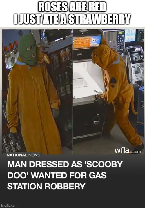 Ruh Roh, Raggy | ROSES ARE RED
I JUST ATE A STRAWBERRY | image tagged in memes,news,scooby doo,roses are red | made w/ Imgflip meme maker