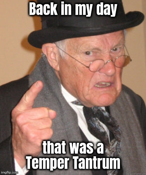 Back In My Day Meme | Back in my day that was a Temper Tantrum | image tagged in memes,back in my day | made w/ Imgflip meme maker