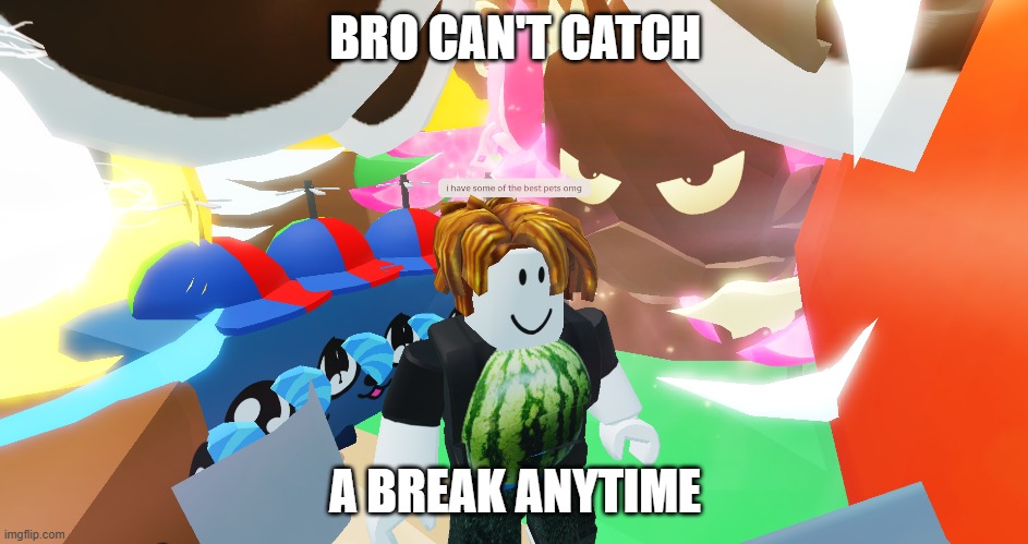 when someone like creativefulmelon on roblox has a lot of pets: | BRO CAN'T CATCH; A BREAK ANYTIME | image tagged in roblox,roblox meme | made w/ Imgflip meme maker