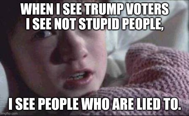 I See Dead People | WHEN I SEE TRUMP VOTERS I SEE NOT STUPID PEOPLE, I SEE PEOPLE WHO ARE LIED TO. | image tagged in memes,i see dead people | made w/ Imgflip meme maker