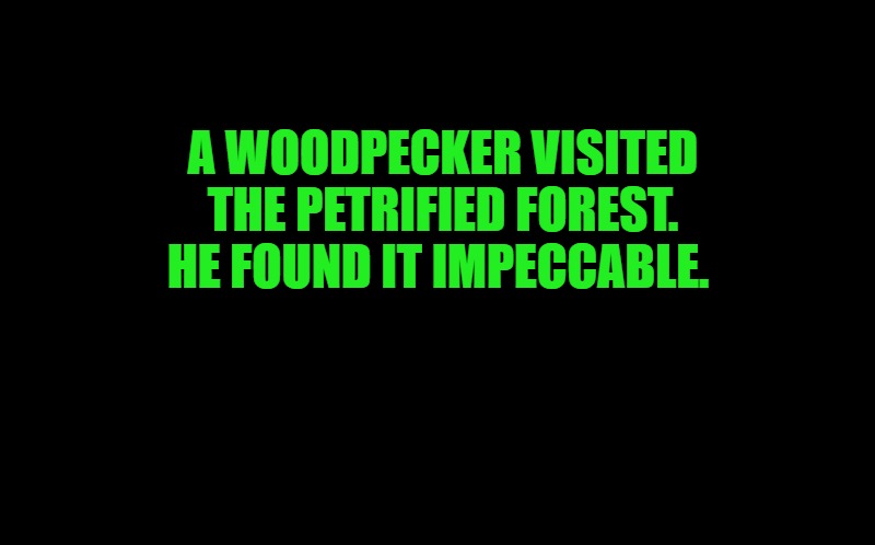 black screen | A WOODPECKER VISITED THE PETRIFIED FOREST. HE FOUND IT IMPECCABLE. | image tagged in black screen | made w/ Imgflip meme maker