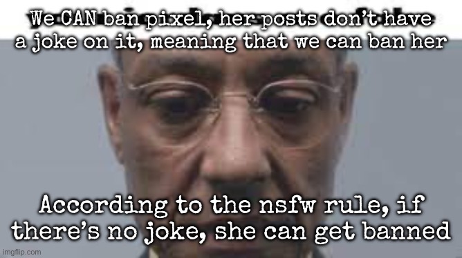 Your jordans are fake | We CAN ban pixel, her posts don’t have a joke on it, meaning that we can ban her; According to the nsfw rule, if there’s no joke, she can get banned | image tagged in your jordans are fake | made w/ Imgflip meme maker