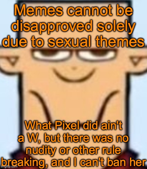 I really don't wanna lose my mod after not even 24 hours | Memes cannot be disapproved solely due to sexual themes; What Pixel did ain't a W, but there was no nudity or other rule breaking, and I can't ban her | image tagged in sped tyler | made w/ Imgflip meme maker