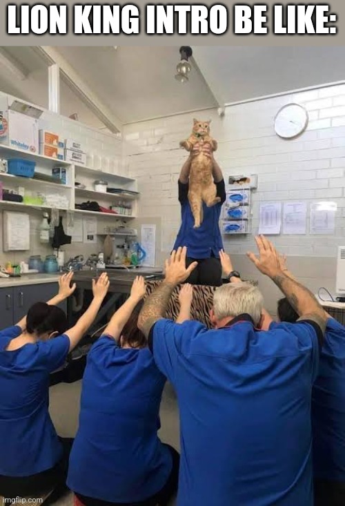 d o  t h e  r o a r | LION KING INTRO BE LIKE: | image tagged in people worshipping the cat,lion king | made w/ Imgflip meme maker