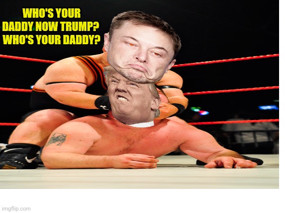 Blank White Template | WHO'S YOUR DADDY NOW TRUMP? 

WHO'S YOUR DADDY? | image tagged in blank white template | made w/ Imgflip meme maker