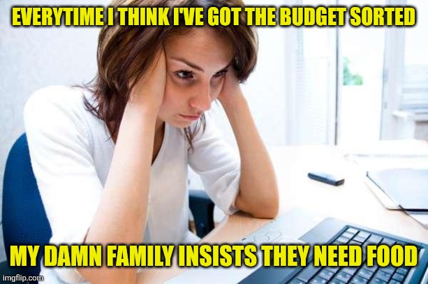Frustrated at Computer | EVERYTIME I THINK I'VE GOT THE BUDGET SORTED; MY DAMN FAMILY INSISTS THEY NEED FOOD | image tagged in frustrated at computer | made w/ Imgflip meme maker