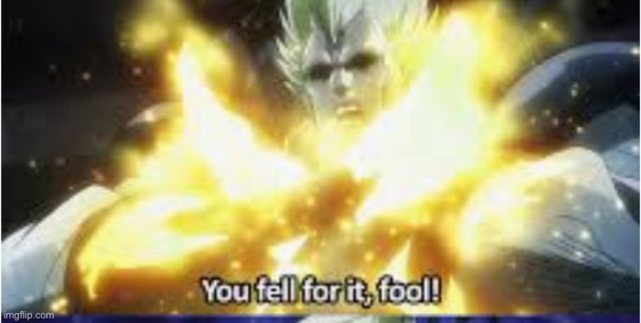 You fell for it | image tagged in you fell for it | made w/ Imgflip meme maker