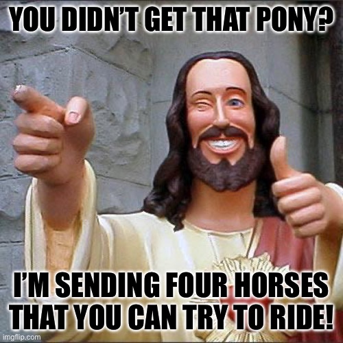 Buddy Christ | YOU DIDN’T GET THAT PONY? I’M SENDING FOUR HORSES THAT YOU CAN TRY TO RIDE! | image tagged in memes,buddy christ | made w/ Imgflip meme maker
