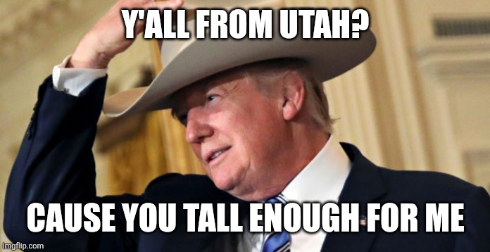 Y'ALL FROM UTAH? CAUSE YOU TALL ENOUGH FOR ME | image tagged in donald-trump-cowboy-hat | made w/ Imgflip meme maker