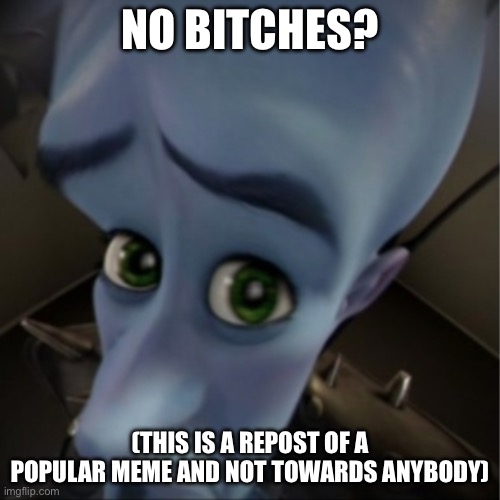 Megamind peeking | NO BITCHES? (THIS IS A REPOST OF A POPULAR MEME AND NOT TOWARDS ANYBODY) | image tagged in megamind peeking | made w/ Imgflip meme maker