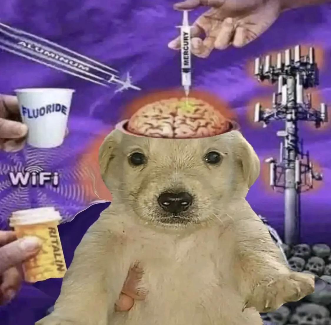 High Quality Dog 5G Tower Blank Meme Template