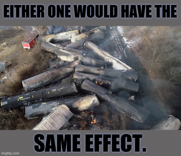 EITHER ONE WOULD HAVE THE SAME EFFECT. | made w/ Imgflip meme maker