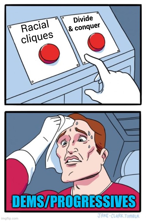 Two Buttons Meme | Racial cliques Divide & conquer DEMS/PROGRESSIVES | image tagged in memes,two buttons | made w/ Imgflip meme maker