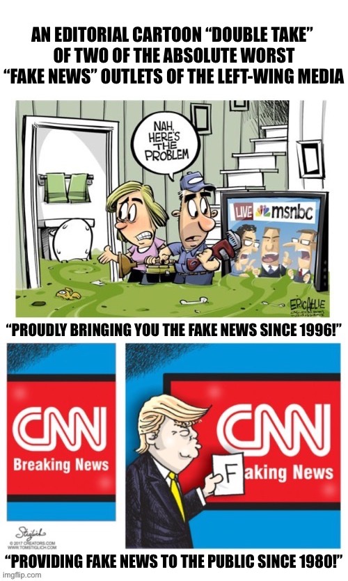 2-for-1 fake news ridicule… | “PROUDLY BRINGING YOU THE FAKE NEWS SINCE 1996!”; “PROVIDING FAKE NEWS TO THE PUBLIC SINCE 1980!” | image tagged in political meme,editorial cartoons,msnbc,cnn,fake news | made w/ Imgflip meme maker