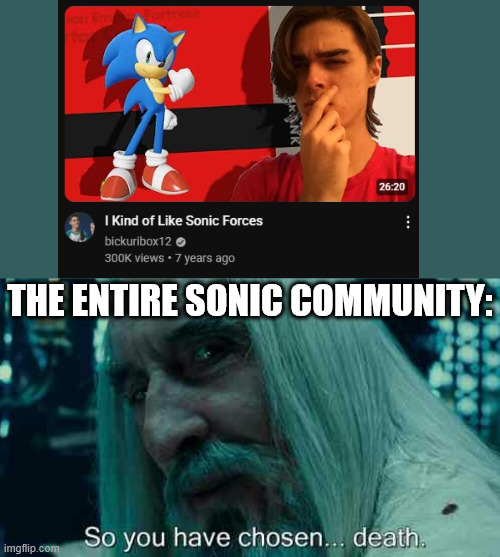 So you have chosen death | THE ENTIRE SONIC COMMUNITY: | image tagged in so you have chosen death,sonic | made w/ Imgflip meme maker