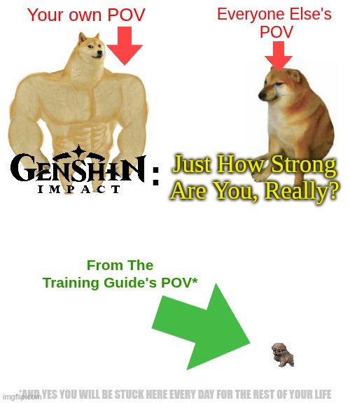 Level=Any AR=Any WL=Any Artifacts=Any Build=Any | Your own POV; Everyone Else's 
POV; Just How Strong Are You, Really? :; From The
Training Guide's POV*; *AND YES YOU WILL BE STUCK HERE EVERY DAY FOR THE REST OF YOUR LIFE | image tagged in memes,buff doge vs cheems,the truth hurts,games,genshin impact,genshin | made w/ Imgflip meme maker