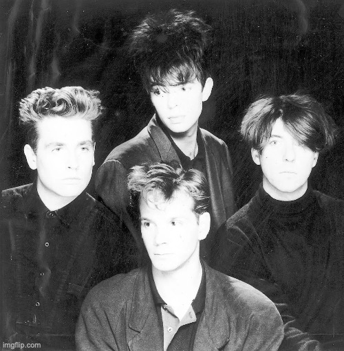 HEAR ME OUT!! ON ANY OF THEM!! | image tagged in echo the bunnymen | made w/ Imgflip meme maker