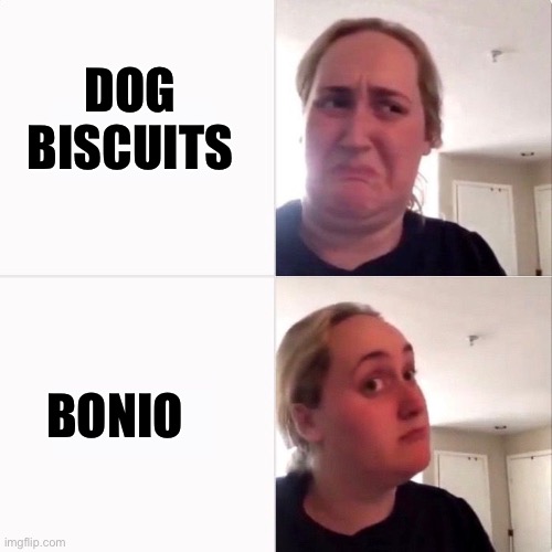 Woman trying kombutcha | DOG BISCUITS BONIO | image tagged in woman trying kombutcha | made w/ Imgflip meme maker