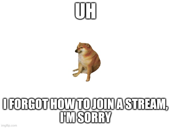 I haven't been here for a while | UH; I FORGOT HOW TO JOIN A STREAM,
I'M SORRY | image tagged in doge | made w/ Imgflip meme maker