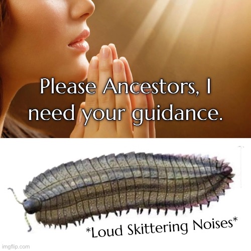 Praying to your ancestors | image tagged in ancestors,prayer,guidance | made w/ Imgflip meme maker