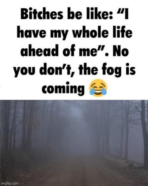 I have my whole life ahead of me no you dont fog is coming | image tagged in i have my whole life ahead of me no you dont fog is coming | made w/ Imgflip meme maker
