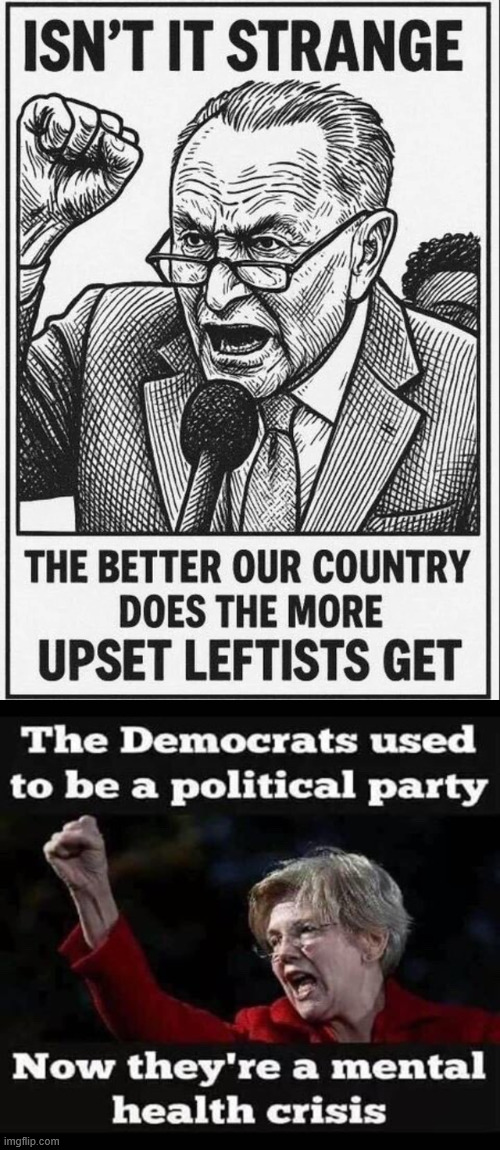 democrats are the mental health crisis | image tagged in democrats,are the mental health crisis | made w/ Imgflip meme maker