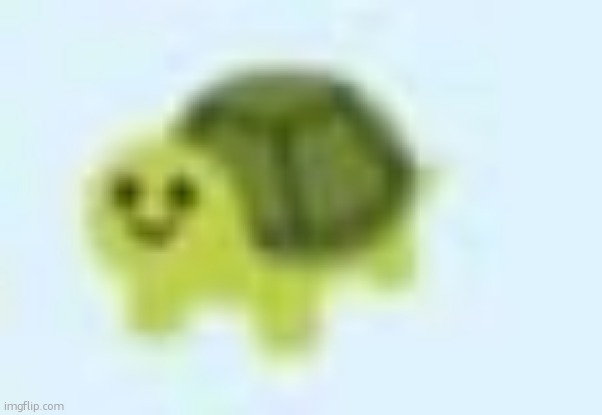 low quality turtle | image tagged in low quality turtle | made w/ Imgflip meme maker