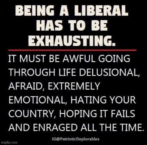 Being a liberal has to be exhausting | image tagged in triggered,liberals | made w/ Imgflip meme maker