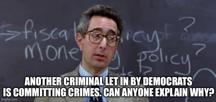 Bueller Anyone? | ANOTHER CRIMINAL LET IN BY DEMOCRATS IS COMMITTING CRIMES. CAN ANYONE EXPLAIN WHY? | image tagged in bueller anyone | made w/ Imgflip meme maker