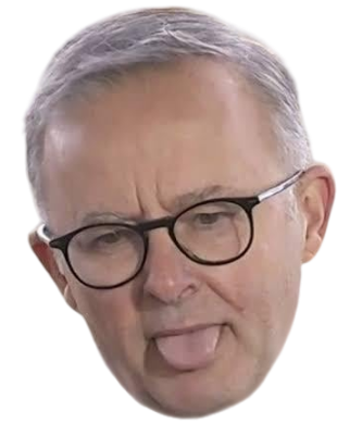 Anthony Albanese Blank Meme Template