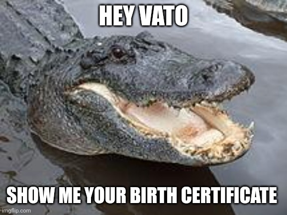 Gator Bait | HEY VATO; SHOW ME YOUR BIRTH CERTIFICATE | image tagged in alligator wut,illegal aliens,swamp,trump immigration policy,meat,gators | made w/ Imgflip meme maker