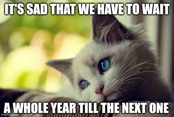 First World Problems Cat Meme | IT'S SAD THAT WE HAVE TO WAIT A WHOLE YEAR TILL THE NEXT ONE | image tagged in memes,first world problems cat | made w/ Imgflip meme maker