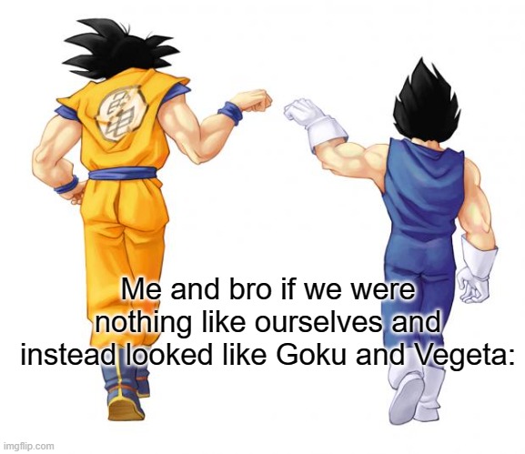 Goku & Vegeta | Me and bro if we were nothing like ourselves and instead looked like Goku and Vegeta: | image tagged in goku vegeta | made w/ Imgflip meme maker