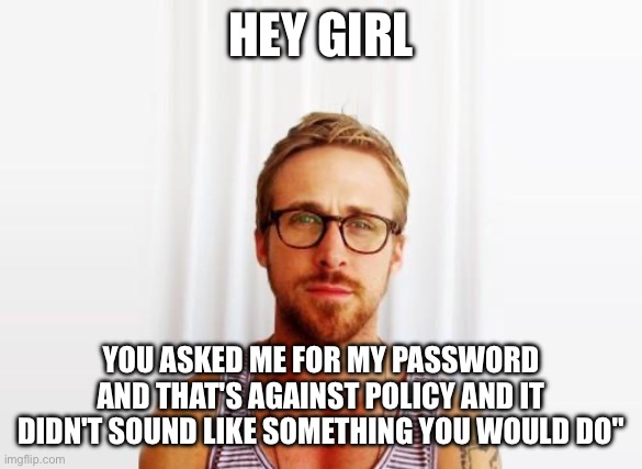Ryan Gosling Hey Girl | HEY GIRL; YOU ASKED ME FOR MY PASSWORD AND THAT'S AGAINST POLICY AND IT DIDN'T SOUND LIKE SOMETHING YOU WOULD DO" | image tagged in ryan gosling hey girl | made w/ Imgflip meme maker